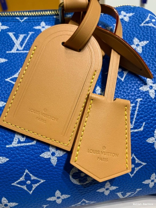 Affordable Vuitton 25 SPEEDY Louis 0810